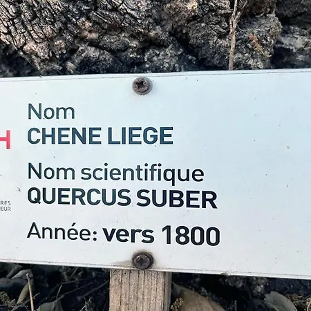 Demeure Familiale Coeur De A Pied فيلة